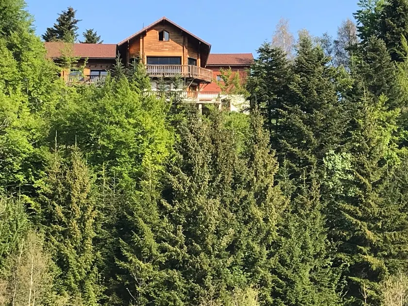 Calm and comfort in nature - Image 1