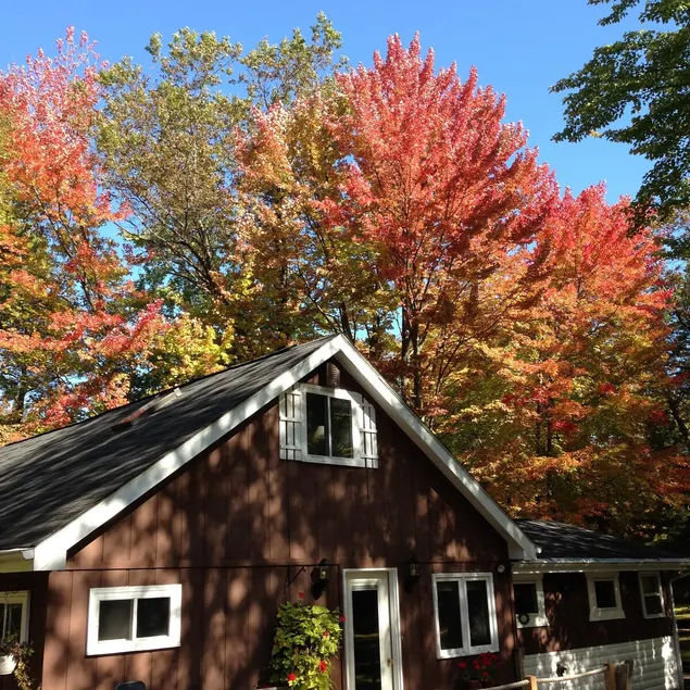 Cozy Northwoods Cabin - Image 1