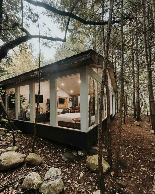 Pine Reeve Cabin. Rustic cabin in the woods. - Image 1