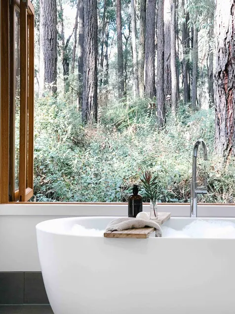 Off Grid Cabin in the Woods Andersons Eco Retreat - Image 1