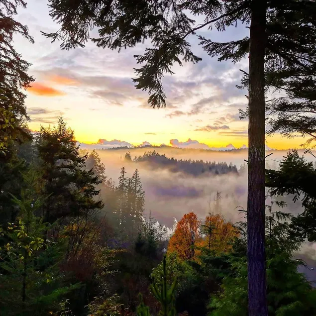 Private Suite- Hikers Retreat! - Image 1