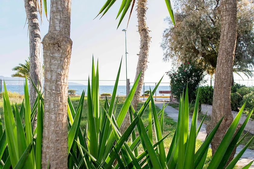 Sea front Villa - Image 1