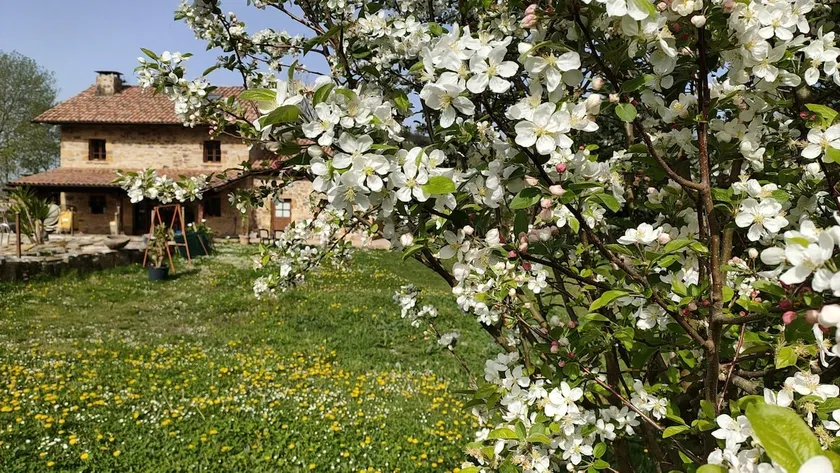 ”EL SALCE Y LA BURRA” Country House - Image 1