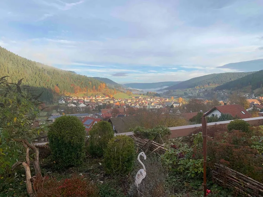 Apartment with great views over the Murg Valley - Image 1