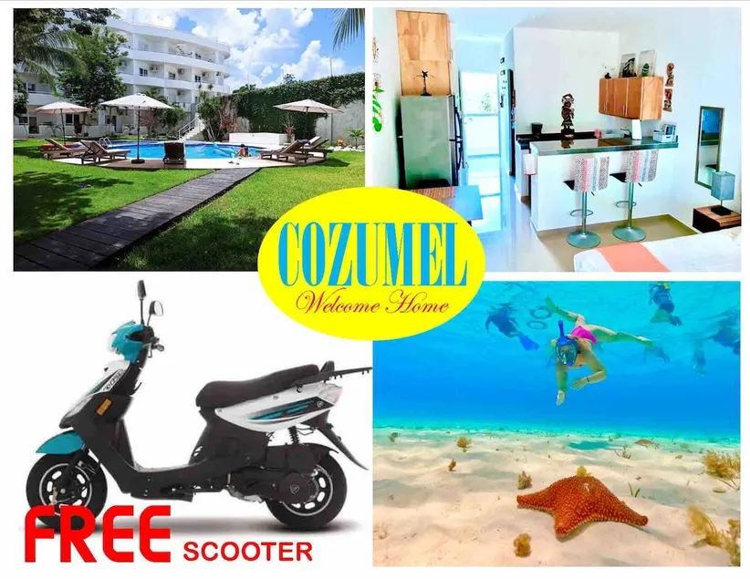 Relax in a bohemian vibe w/free scooters! - Image 1