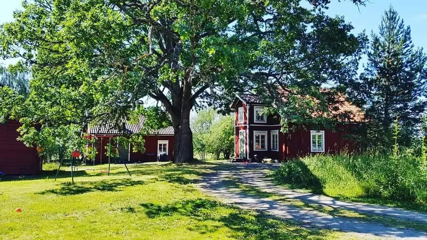 Cozy cottage for yourselves - Image 1