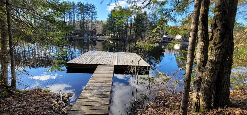 Pet-Friendly Waterfront Cabin | Canoe, Kayak, SUP - Image 1