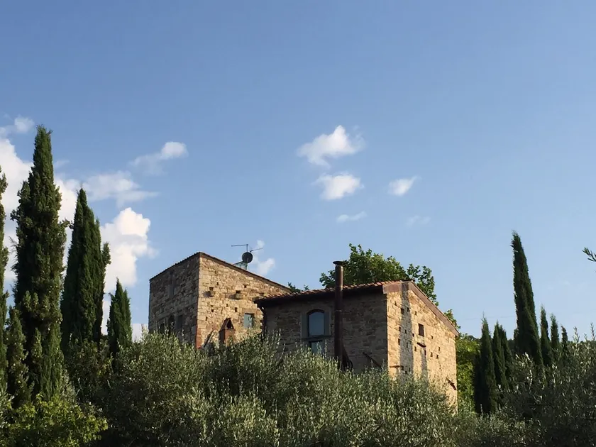 Villa Palagio - an ancient home of Counts - Image 1