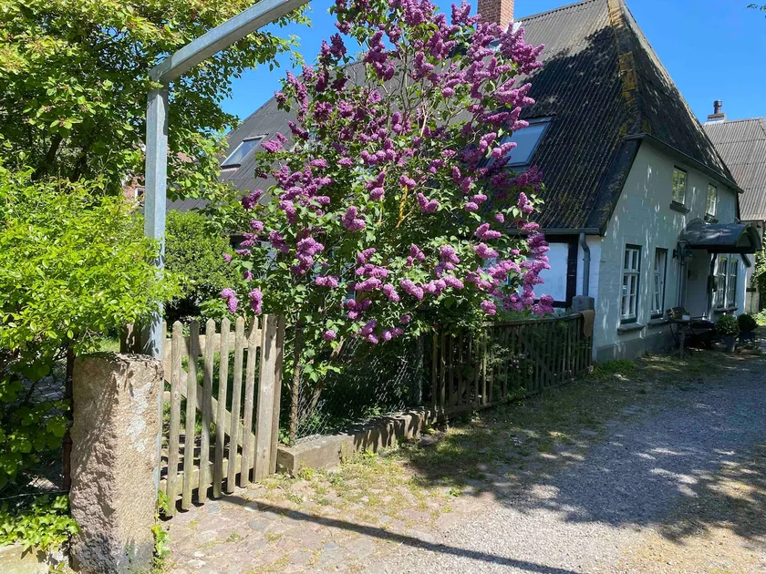 Island farmhouse ”The Hall,” close to the beach with garden - Image 1