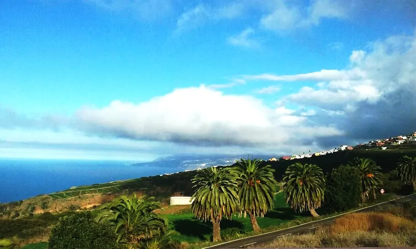 Green Sky - Image 1