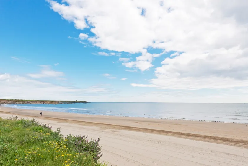 Unique exquisite beachfront property 2 - Image 1