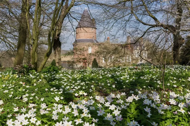 cottage in the park of a castle(manor) - Image 1