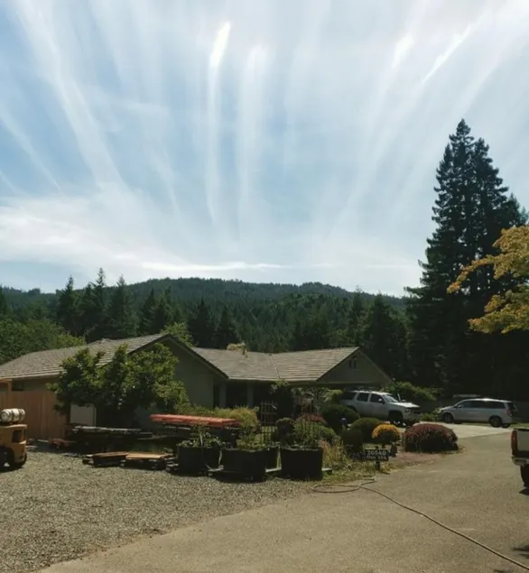 Burlwood Bungalow on Ave of the Giants - Image 1