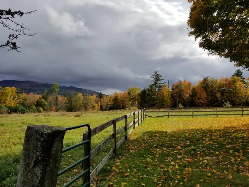 The Bear Camp. Incredible Foliage Views! - Image 1