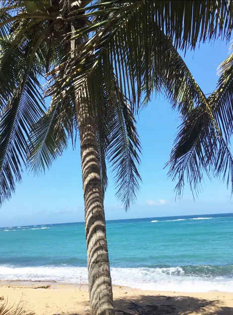 Paradise at Aquatika Poolfront with Private Beach - Image 1