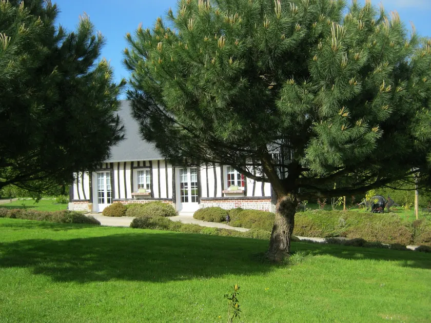 Gîte des Pins Penchés (Lodge of the Bent Pines) - Image 1