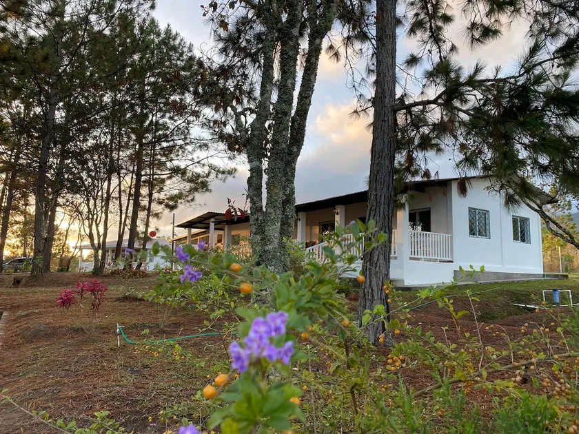 Villa de la Rosa R&R – Cozy 2-Bedroom Cabin in the Pines of Siguatepeque - Image 1