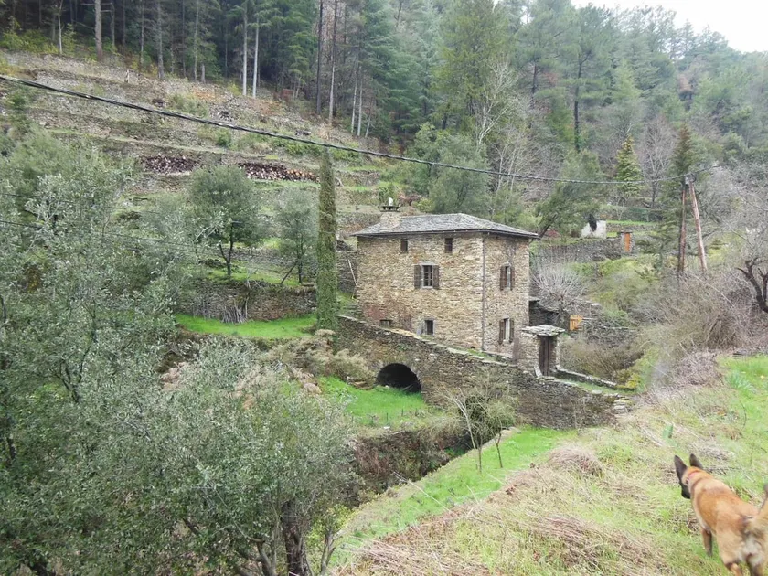 Paradis Cévenol, a unique place in Cevennes - Image 1