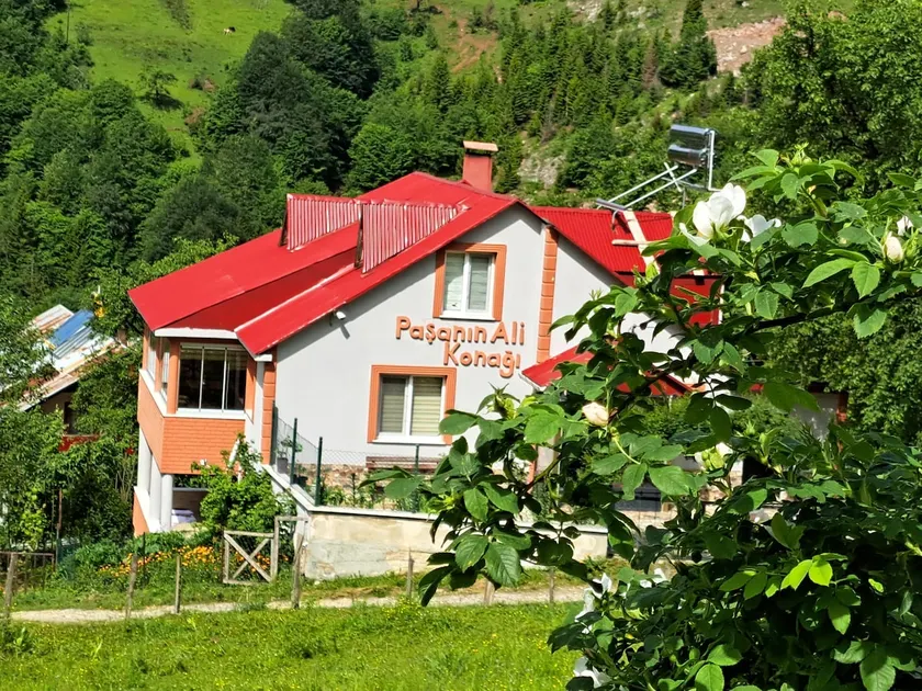Paşanın Ali Konağı Apart Hotel Süllü - Image 1
