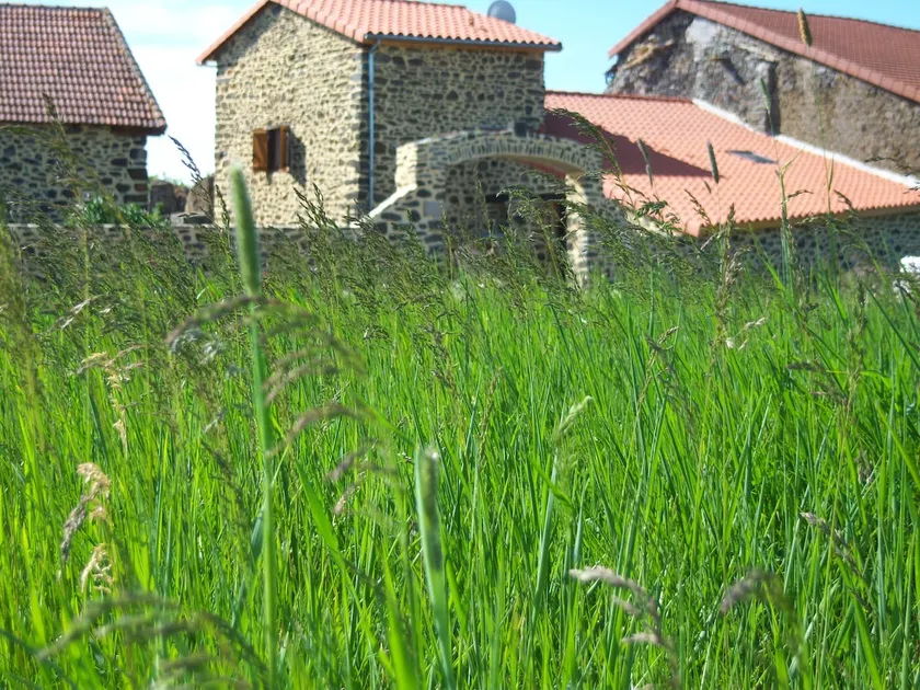 Le gîte Rural Chalet Gîte - Image 1