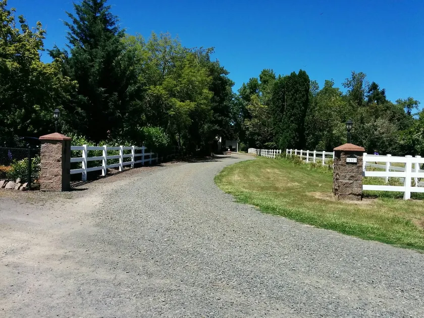 Country Entertainment - Image 1