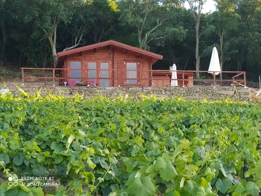 Casa das Vinhas Velhas by Casa do Poço - Image 1
