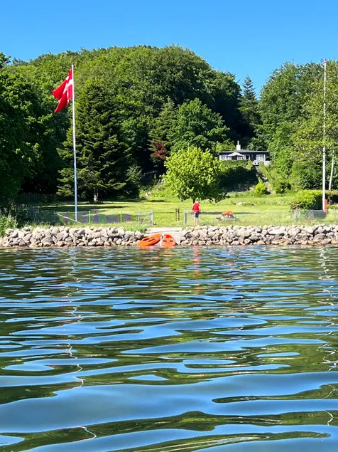 Vejle Fjord panoramic view and forest tranquillity - Image 1