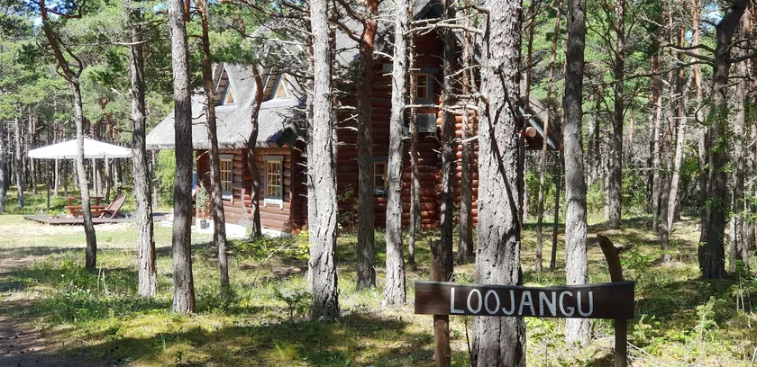 Loojangu, beautiful loghouse by the sea - Image 1