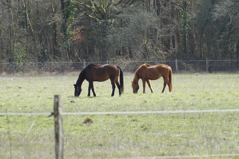 DOMAINE DE MALGARNI - Image 1
