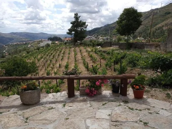 Casa da Vinha em Tabuaço Douro - Image 1