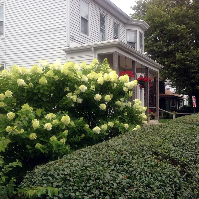 Affordable Apt-Historic W Cape May - Image 1