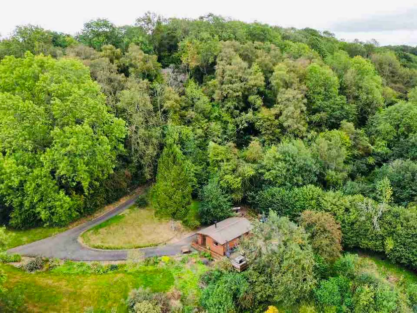 Mountain View Lodge, Luxury Woodland Lodge with Hot Tub - Image 1