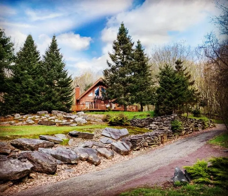 Dino's Black Bear Cabin - Image 1