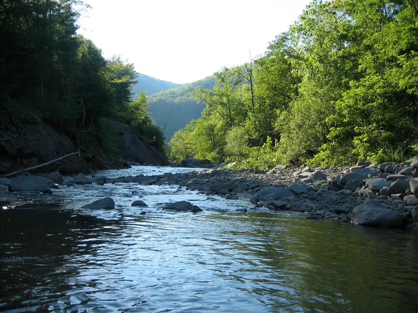 Streamside Catskill Mountain House - Image 1