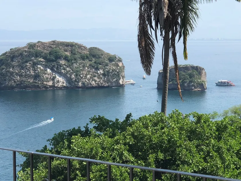 House with excellent views of the sea and jungle - Image 1