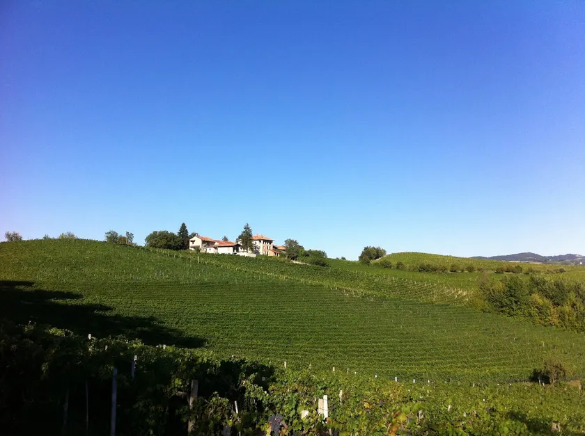 Amazing Langhe and Tasty Red Wine - Image 1