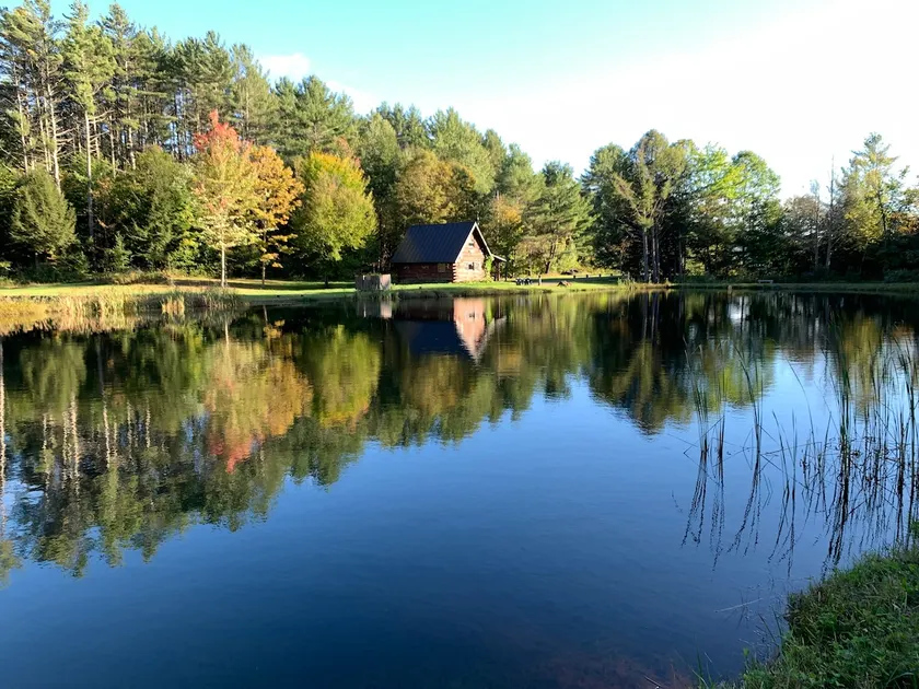 Cozy 4-season Cabin on Pond - ”East Cabin” - Image 1