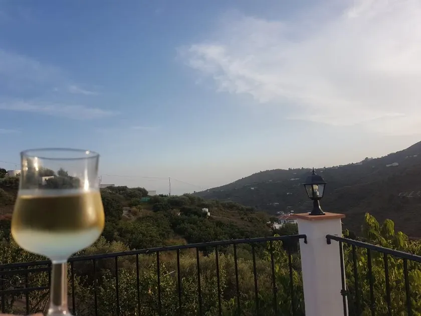 Torrox campo, country house peaceful location, 10 mins drive from Torrox town - Image 1