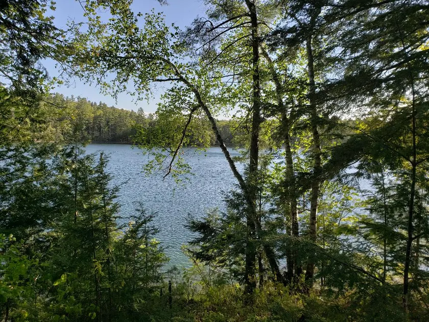 Cabin on lake in Sidney. - Image 1