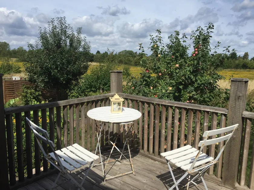 Cottage with short distance to the water and wilderness bath - Image 1