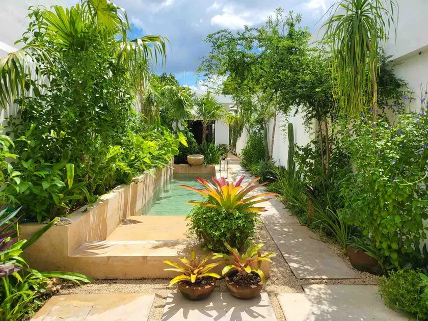 Interior Designer’s Centro Merida Retreat - Image 1