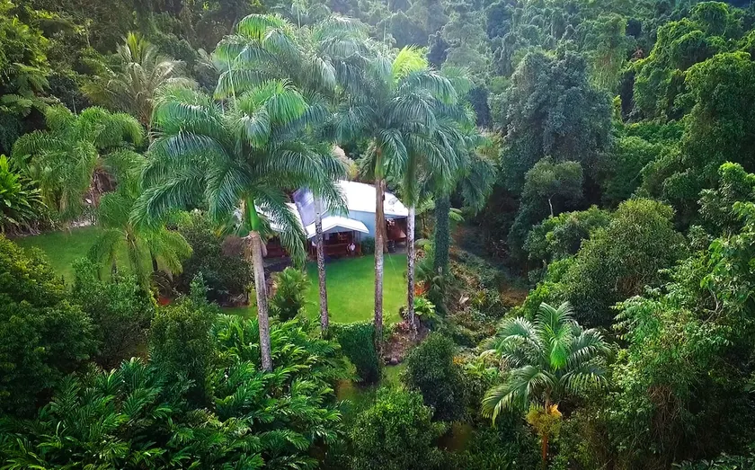 Wild Ginger Rainforest Retreat - Image 1