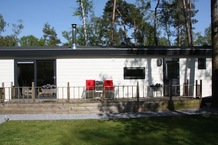 Atmospheric forest bungalow 8 Veluwe - Image 1