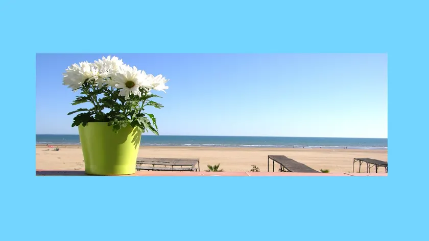 1 BEDROOM APARTMENT WITH TERRACE AND SEA VIEWS - Image 1