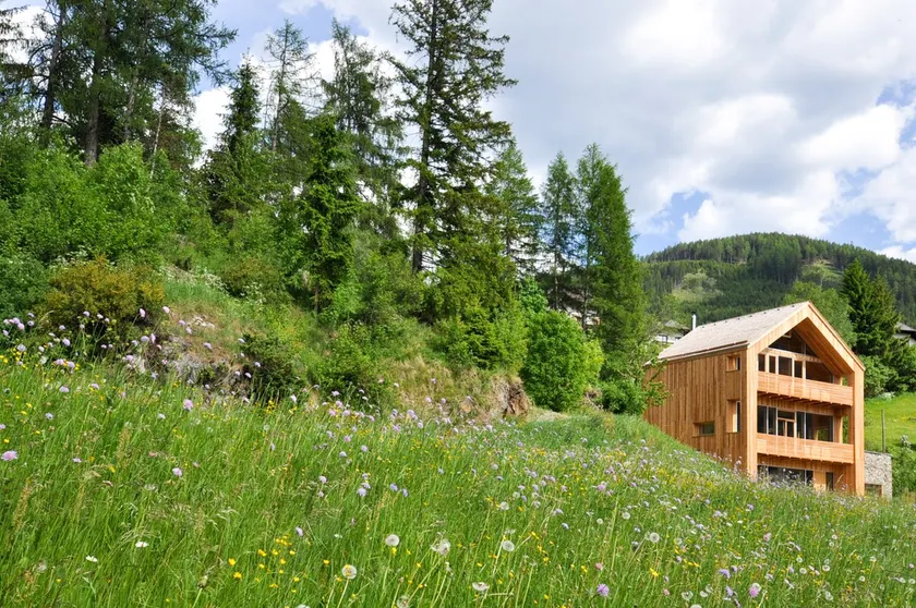 Smart Wood House - Image 1
