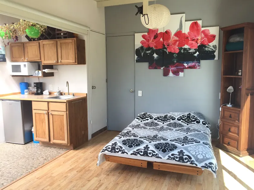 Roof-Garden apartment with private bathroom and garage. - Image 1