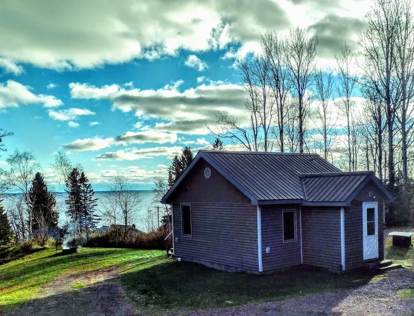 Scotch Pine: Over the Big Lake, Near Grand Marais - Image 1