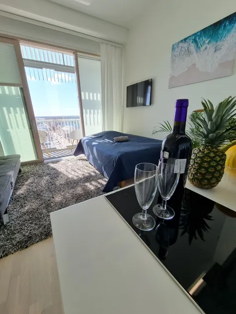 Penthouse in the Oulu center - Image 1