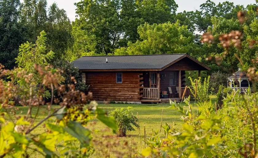 Cedar Cabin: Dog friendly cabin w/ private hot tub - Image 1