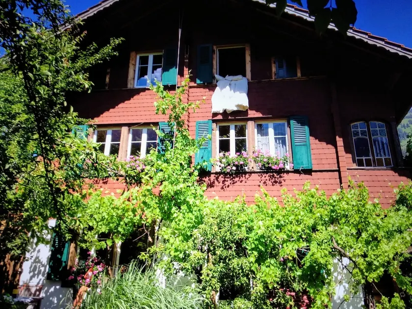Tiny-Apart Garden - Image 1